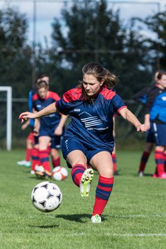 Bild 12 - Frauen TSV Wiemersdorf - SV Wahlstedt : Ergebnis: 5:1